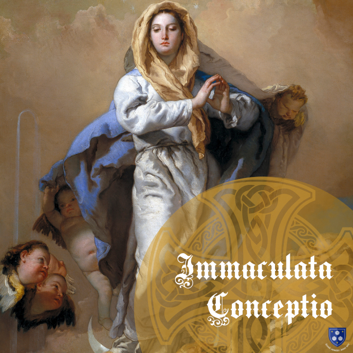 THE IMMACULATE CONCEPTION OF THE BLESSED VIRGIN&nbsp;MARY