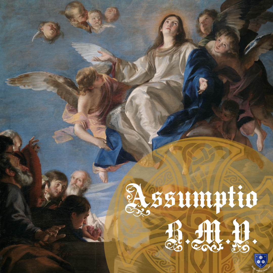 THE ASSUMPTION OF THE BLESSED VIRGIN&nbsp;MARY
